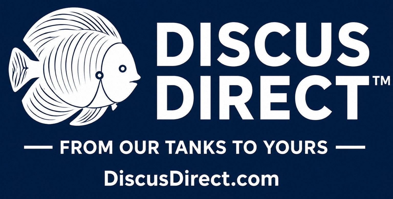 Discus Direct — From Our Tanks to Yours