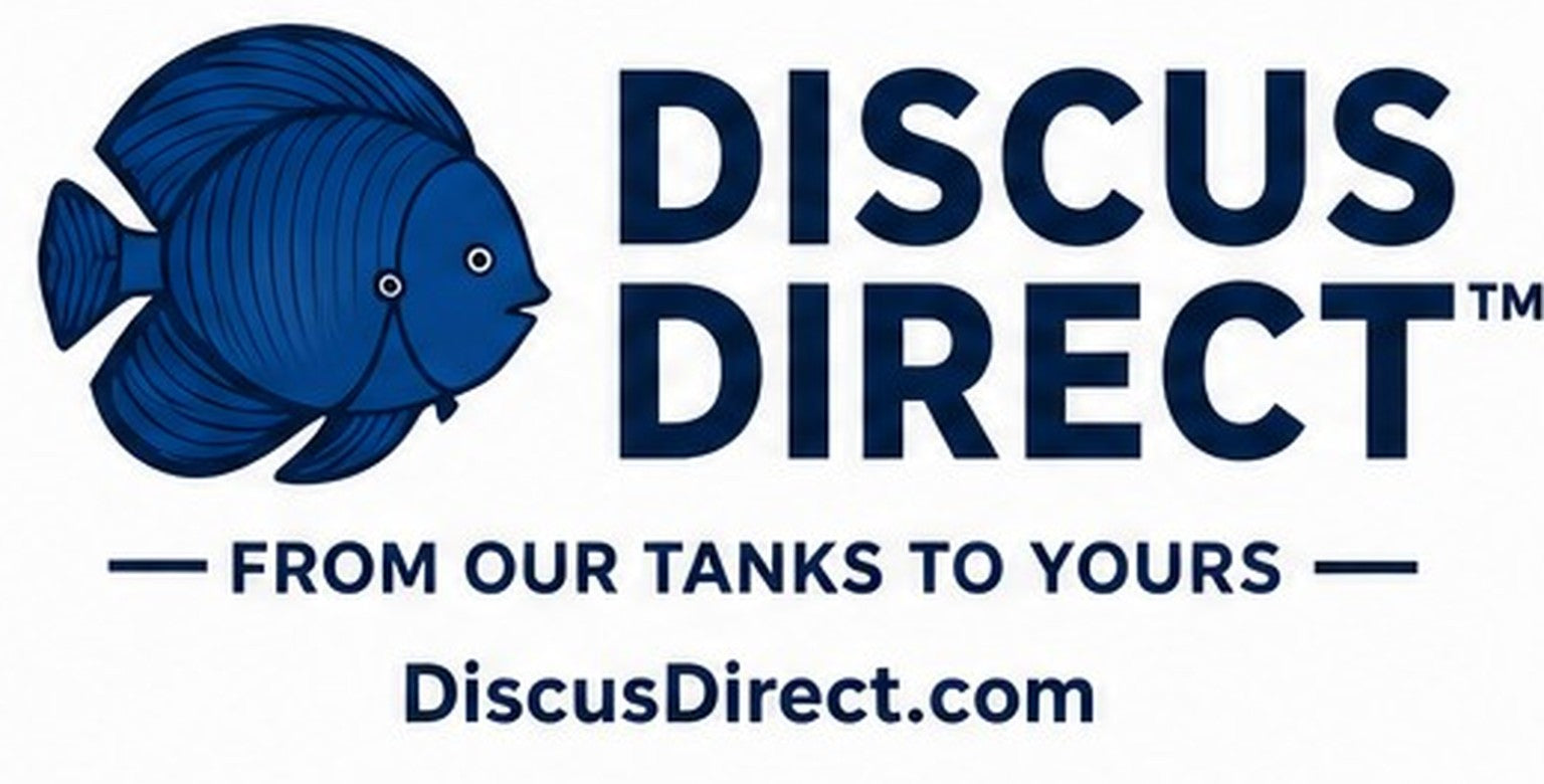 Discus Direct — From Our Tanks to Yours